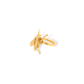 Anillo de mosca pequeña